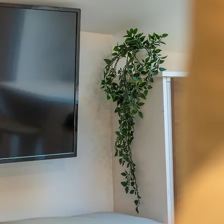 Montsejour - Magnifique Neuf Tuluza